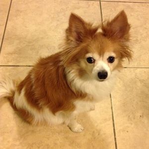 Meet your Posher, Fran